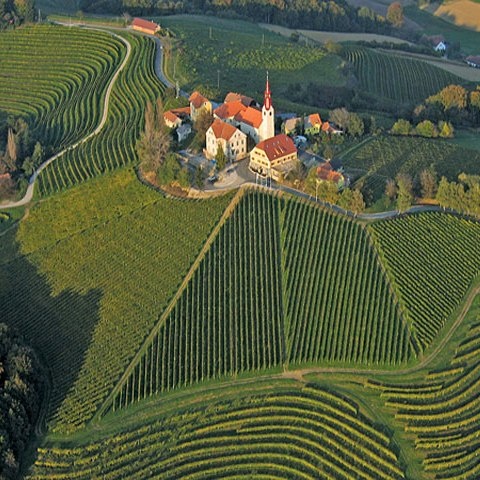 Zonas Vinicolas en Eslovenia 